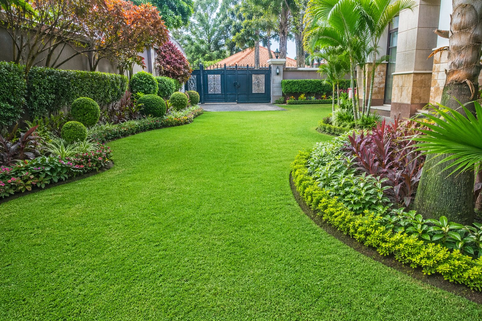 Lush Arabica grass lawn in a Nairobi Kenya compound with ornamental flower border planting bougainvillea and crotons around the edges
