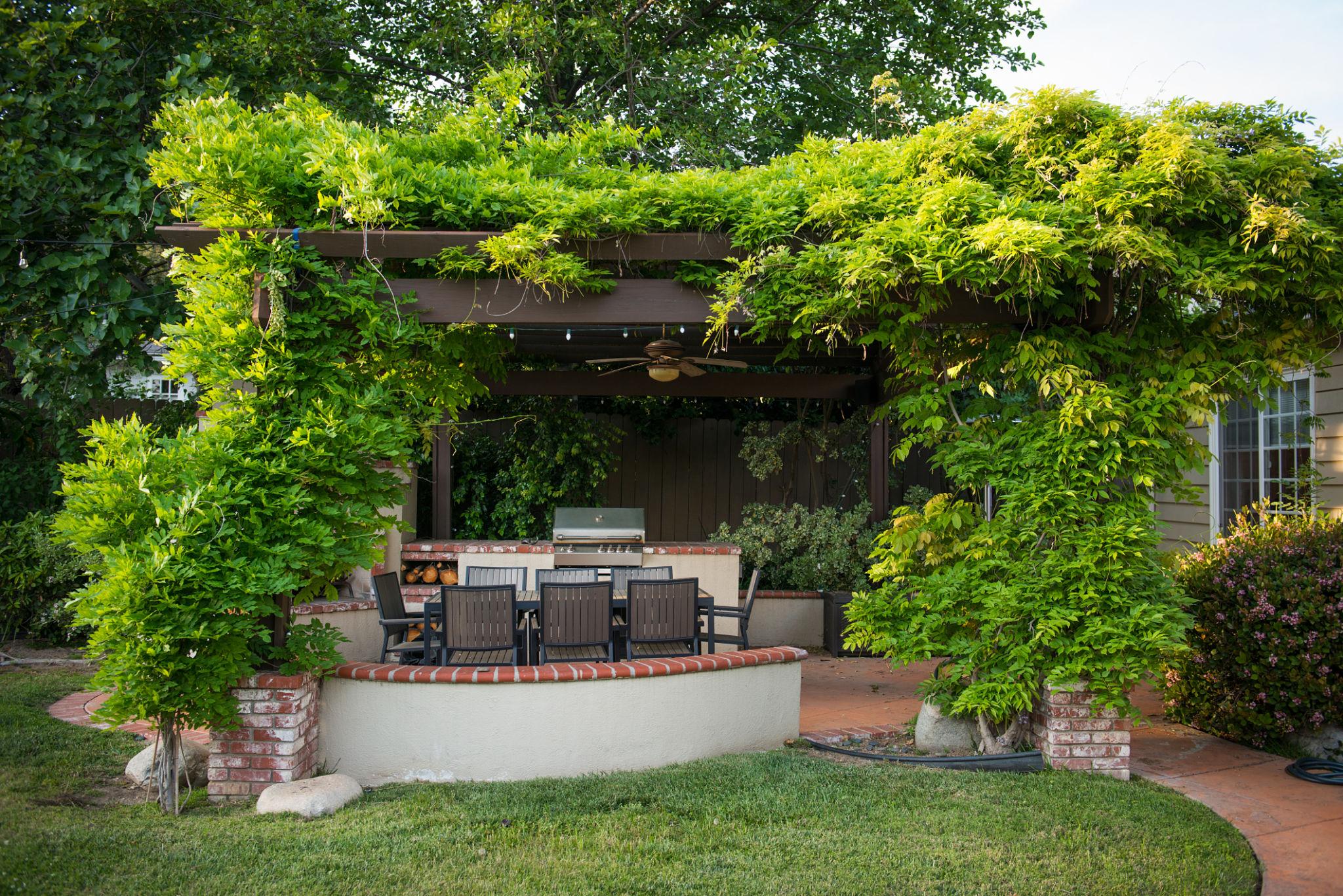 Timber pergola covered in dense climbing plants and lush greenery over an outdoor dining area with brick base in a garden — natural pergola Kenya